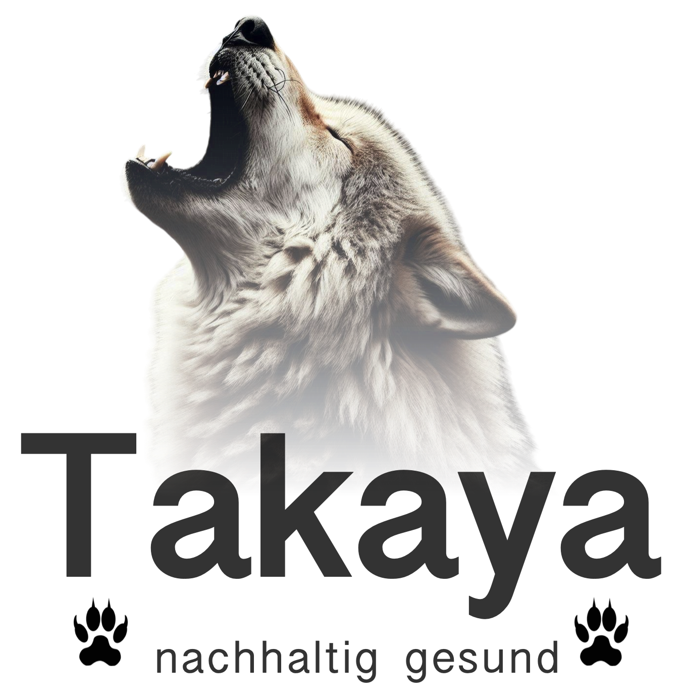 Takaya, nachhaltig gesund. Von Menschen für Menschen.